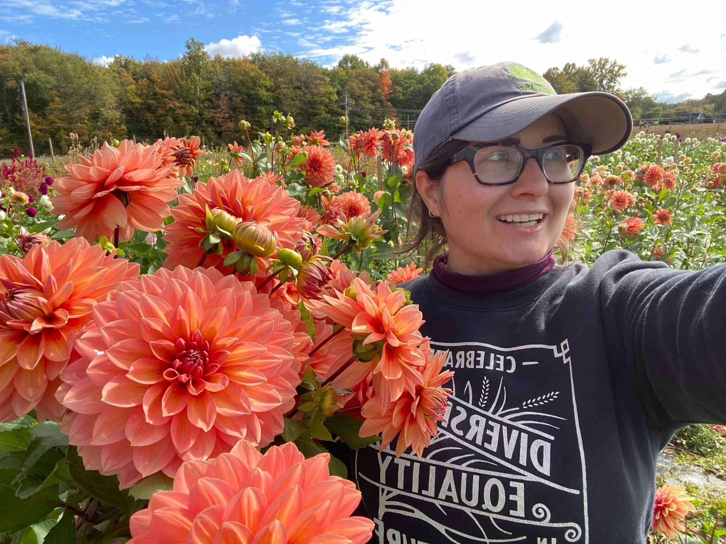 Nicholas Dahlia Tubers for Sale — Heirloom Soul Florals